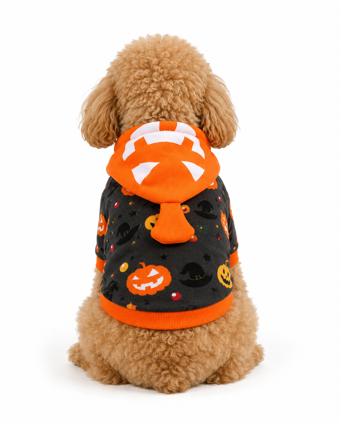 Halloween Pumpkin Hoodie for Dogs & Cats