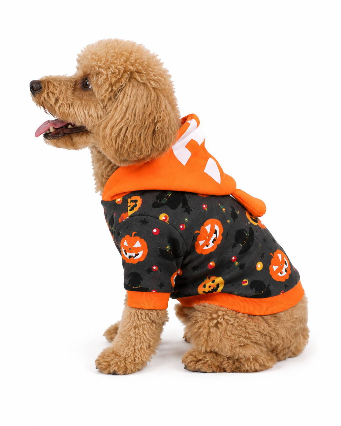 Halloween Pumpkin Hoodie for Dogs & Cats