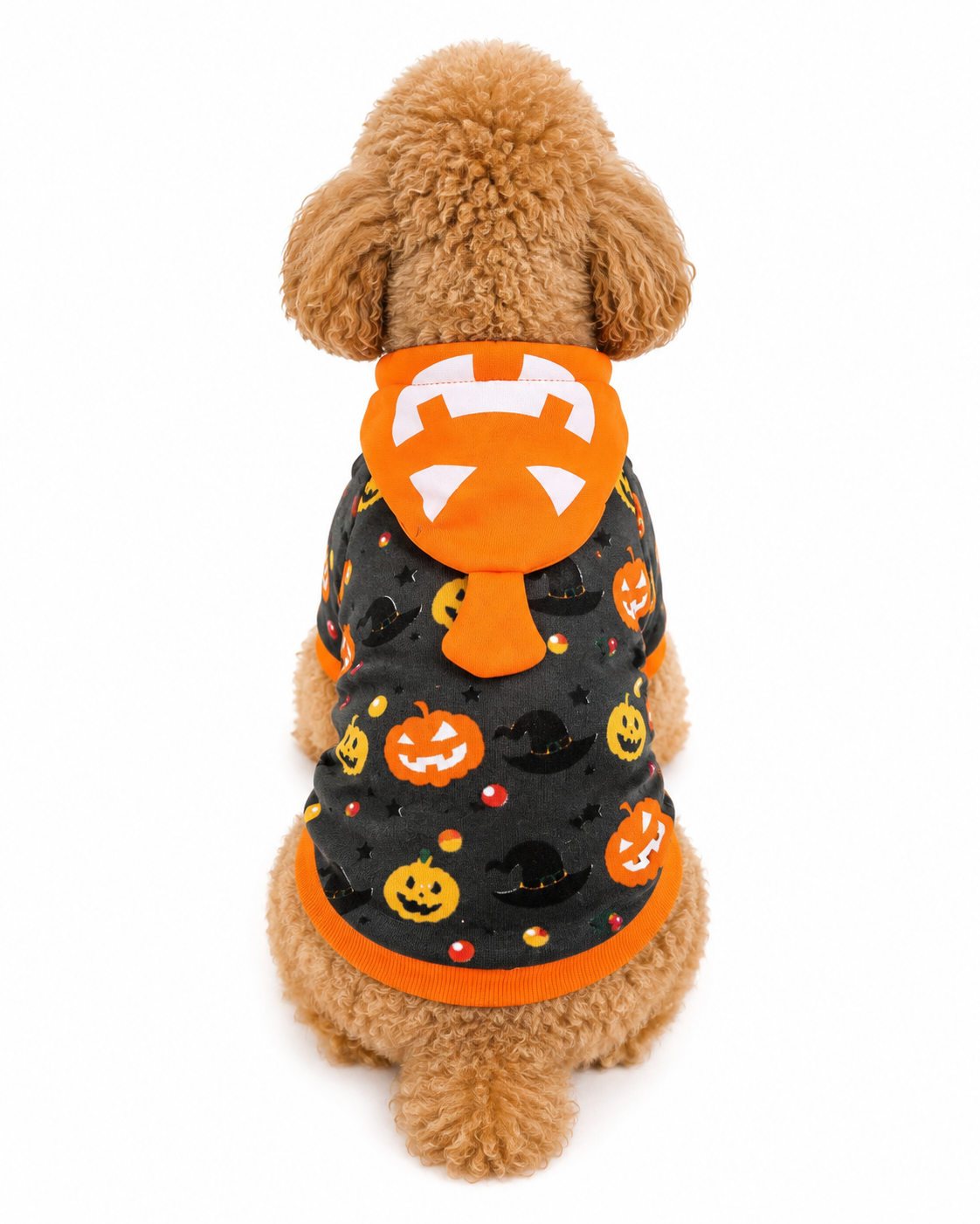 Halloween Pumpkin Hoodie for Dogs & Cats
