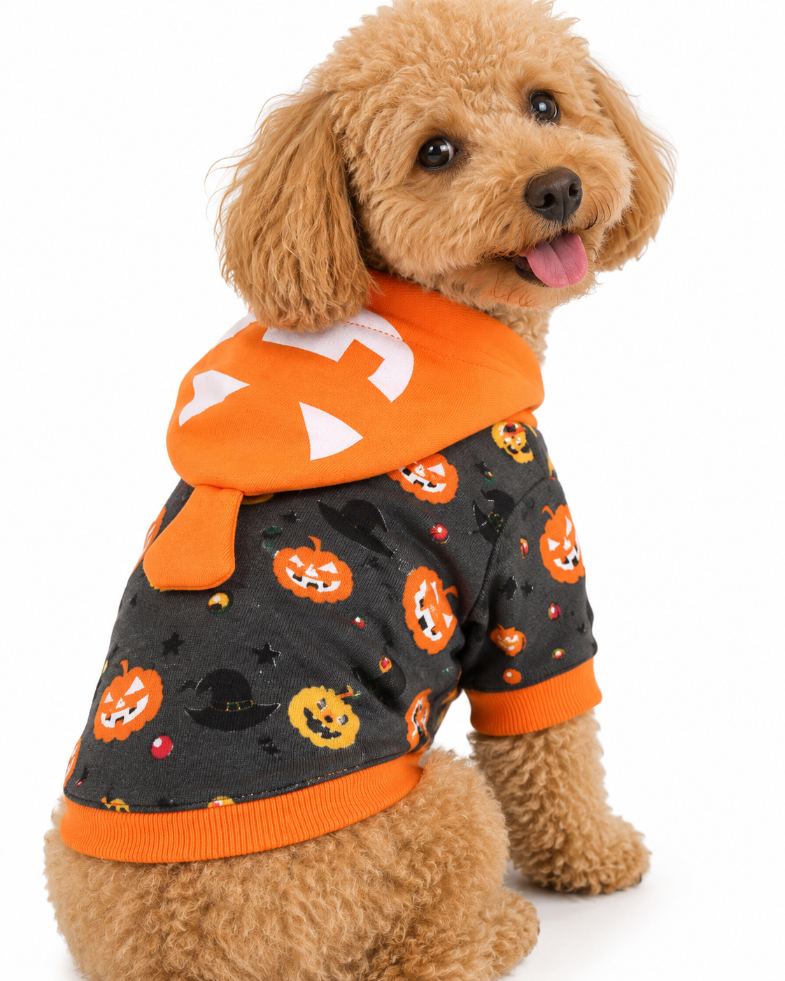 Halloween Pumpkin Hoodie for Dogs & Cats